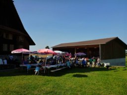 August 2015 Vespatreffen Zell